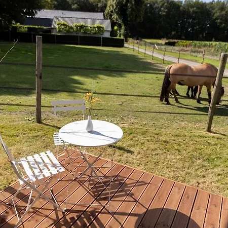 Holiday home De Verpozing - Tinyhouse Nr2 Milsbeek